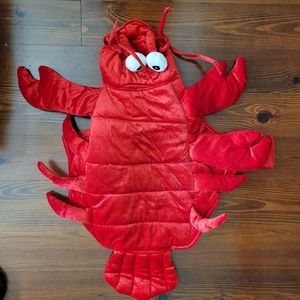 Large Lobster costume-dog